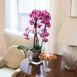 Principe Hotel Florence